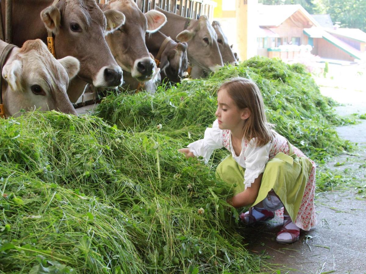 Ferienhof Nigg レッテンベルク エクステリア 写真